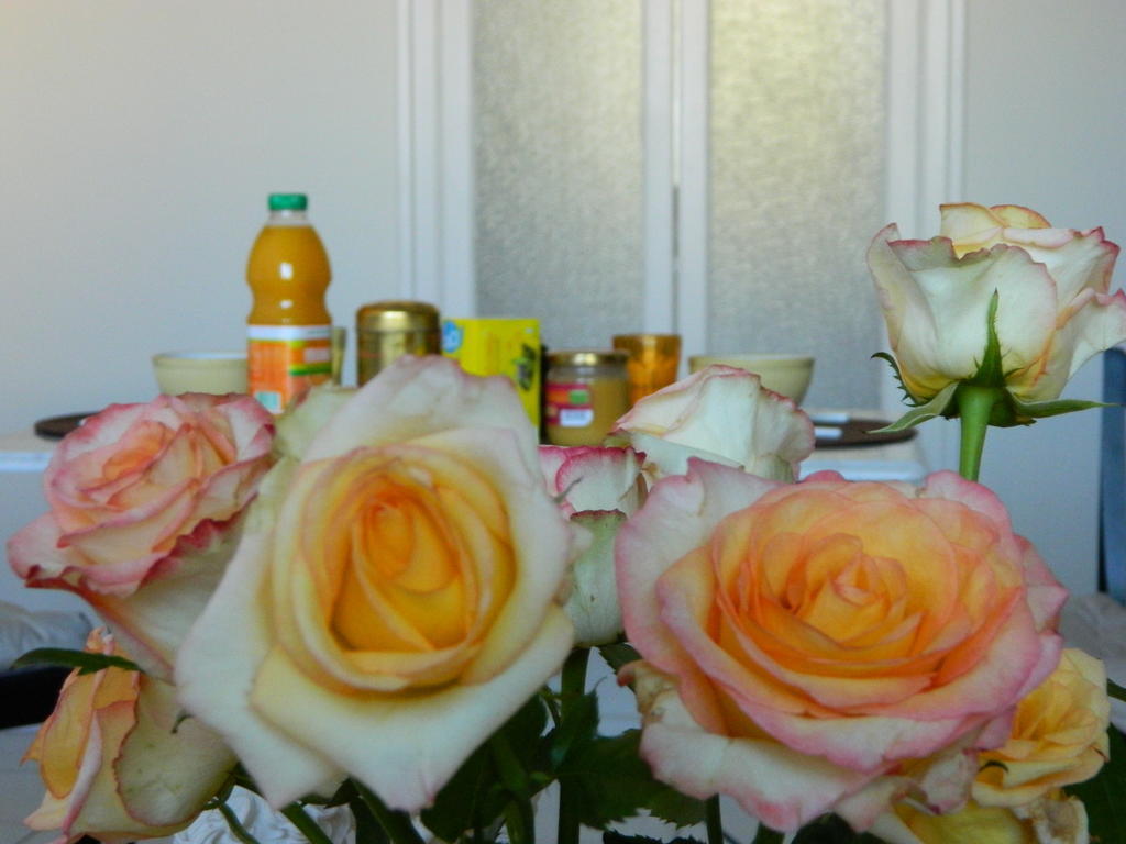 מרסיי Chambre D'Hote Zen Chez Philippe חדר תמונה