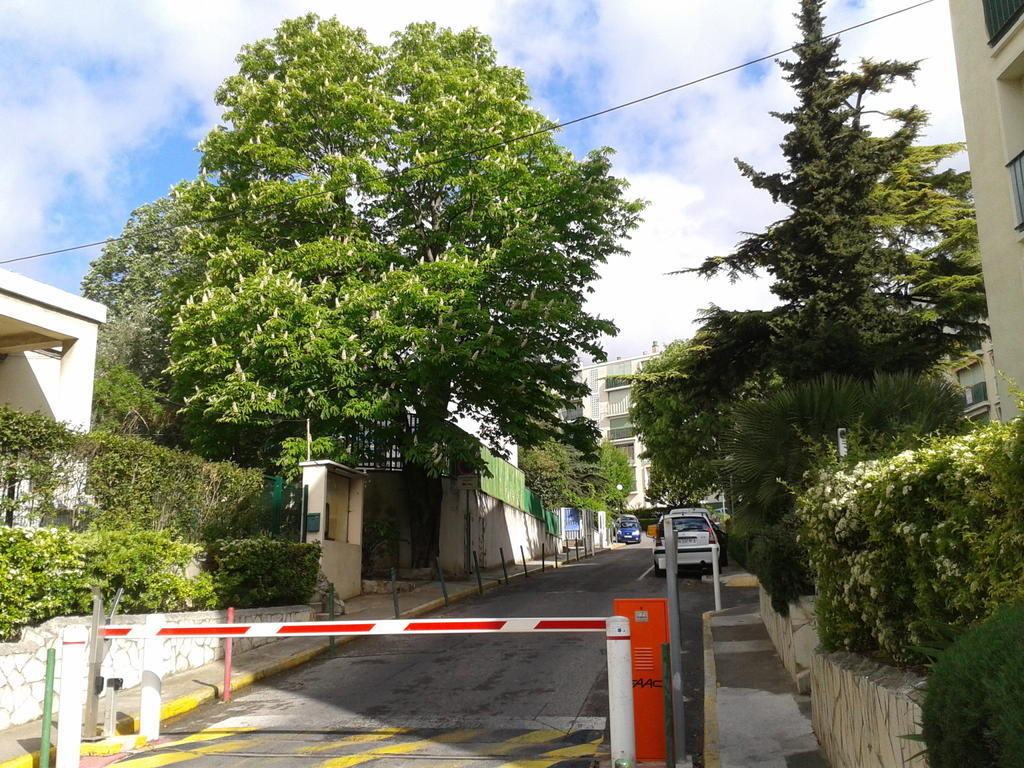 מרסיי Chambre D'Hote Zen Chez Philippe מראה חיצוני תמונה